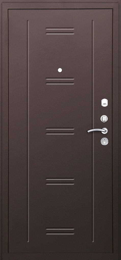 Фото железная дверь Мастер 1 Аргус