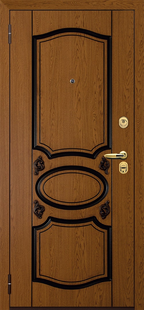 Фото железная дверь Монолит 3 Аргус